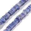 Handmade Lampwork Beads Strands LAMP-Q037-02B-12-1