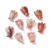 Natural Red Agate Home Display Decorations DJEW-L009A-03-6
