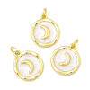 Brass Enamel Pendants KK-K302-11G-1