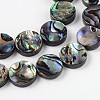 Natural Abalone Shell/Paua Shell Beads Strands X-SSHEL-G003-5-10x3mm-3