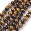 Natural Tiger Eye Beads Strands G-G099-10mm-5-1