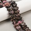 Natural Rhodonite Double Terminated Point Beads Strands G-T142-95-1