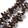 Natural Trochid Shell Beads Strands SSHEL-G023-05A-1