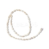Natural Freshwater Shell Beads Strands SHEL-C003-06-2