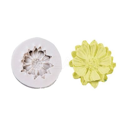 Food Grade Silicone Molds LS-DIY-E018-39-1