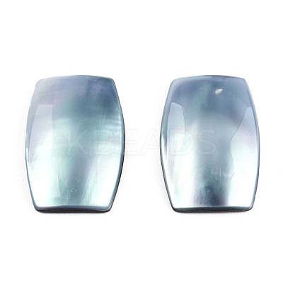 Natural Turbo Cornulus/Top Shells Cabochons SSHEL-N003-153A-1
