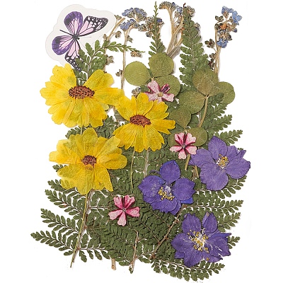 Pressed Dried Flowers DIY-YWC0001-97-1