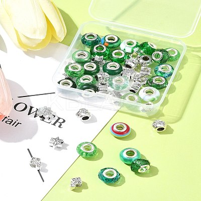 DIY Tibetan Style Alloy & Resin European Beads Making Finding Kits DIY-FS0006-78A-1
