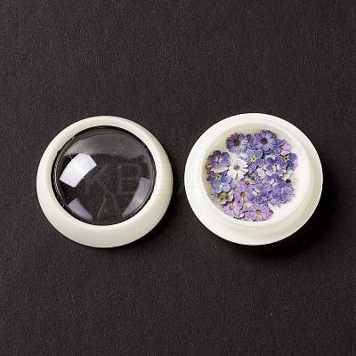 DIY Crystal Epoxy Resin Material Filling DIY-E036-20-1