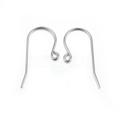 316L Stainless Steel Earring Hooks X-STAS-P210-20P-1