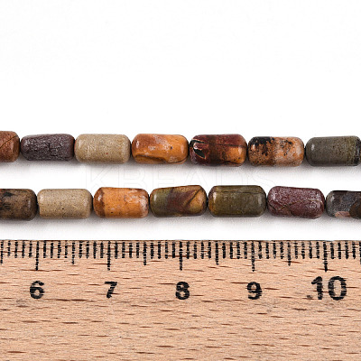 Natural Picasso Jasper/Polychrome Jasper Beads Strands G-N346-01A-05-1