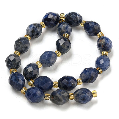 Natural Sodalite Beads Strands G-N342-57-1