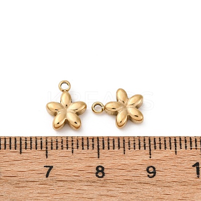 304 Stainless Steel Charms STAS-L022-521G-1