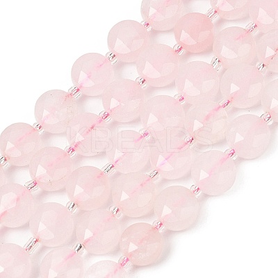 Natural Rose Quartz Beads Strands G-F812-C07-01-1