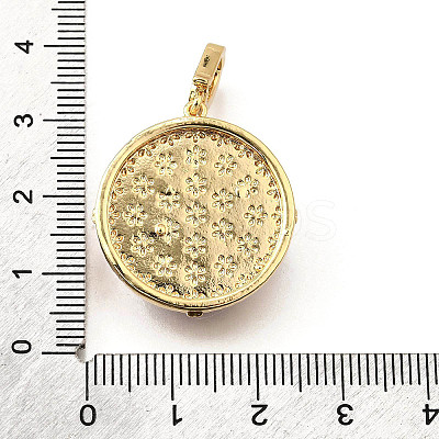 Brass Micro Pave Cubic Zirconia & Enamel Pendants KK-R222-14G-01-1