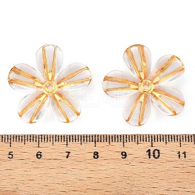 Transparent Acrylic Beads TACR-T028-18A-1