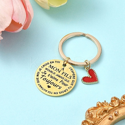 Alloy Enamel & 201 Stainless Steel Keychain KEYC-YW00101-04-1