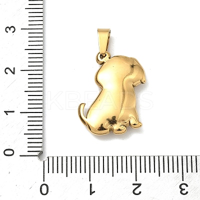 304 Stainless Steel Pendants STAS-F336-10G-02-1