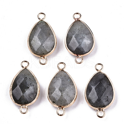 Natural Labradorite Links Connectors G-T131-49F-1