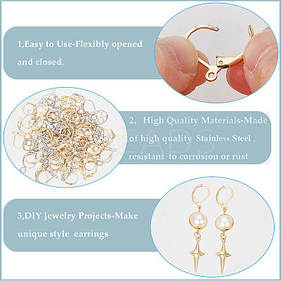 80Pcs 2 Color 304 Stainless Steel Leverback Earring Findings STAS-SP0001-14-1