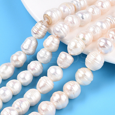 Natural Cultured Freshwater Pearl Beads Strands PEAR-N012-10E-1
