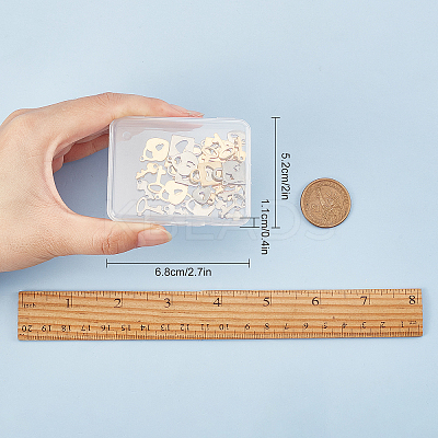 304 Stainless Steel Charms STAS-SC0002-40-1