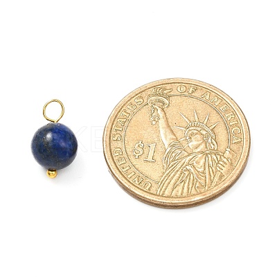 Natural Mixed Gemstone Charms PALLOY-JF00992-02-1