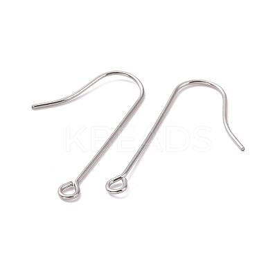 Tarnish Resistant 316 Surgical Stainless Steel Earring Hooks LS-STAS-E027-02B-P-1