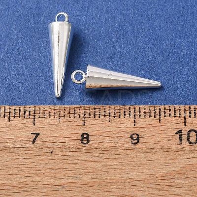 304 Stainless Steel Pendants STAS-G214-47S-01-1