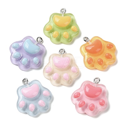 Cartoon Translucent Resin Pendants X-RESI-D071-01-1