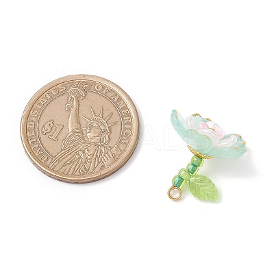 Transparent Acrylic Pendants PALLOY-MZ00822-05-1