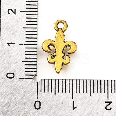 Tibetan Style Alloy Pendants X-TIBE-L008-15AG-1