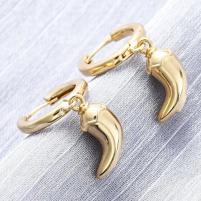 Chili Brass Hoop Earrings EJEW-Q015-17G-1