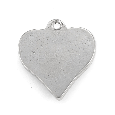 Non-Tarnish 304 Stainless Steel Pendants LS-STAS-F287-51P-1
