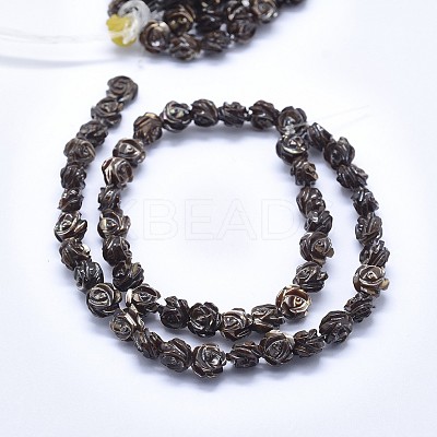 Shell Bead Strands SSHEL-P015-01C-8mm-1