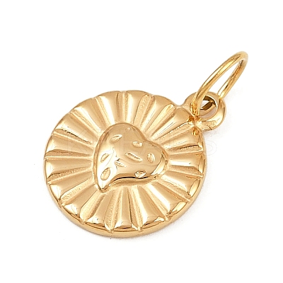 304 Stainless Steel Charms LS-STAS-K307-12A-G-1