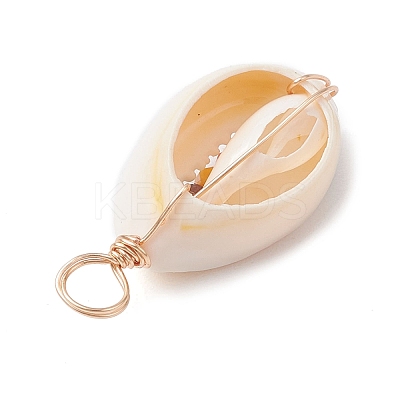 Natural Cowrie Shell Pendants PALLOY-JF02662-03-1