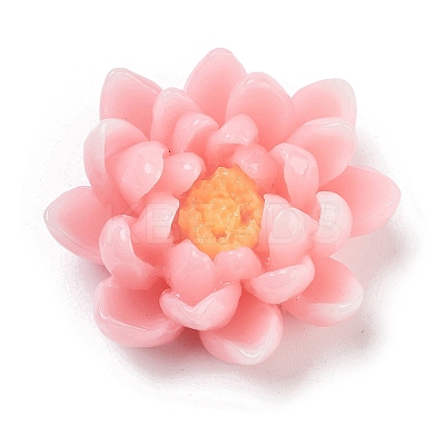 Two Tone Opaque Resin Decoden Cabochons RESI-K042-01C-1