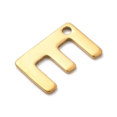 304 Stainless Steel Charms LS-STAS-B093-12G-E-1