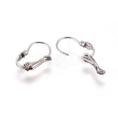Tarnish Resistant 304 Stainless Steel Leverback Earring Findings LS-STAS-E460-04P-1