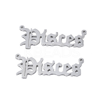 Non-Tarnish 304 Stainless Steel Connector Charms LS-STAS-N095-136E-1