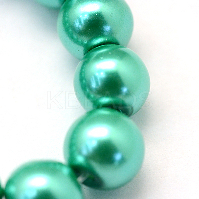 Baking Paint Pearlized Glass Pearl Round Bead Strands HY-Q003-14mm-29-1