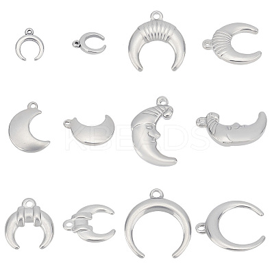 24Pcs 6 Style 304 Stainless Steel Charms STAS-PH0001-74-1