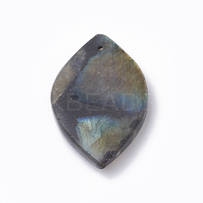 Natural Labradorite Pendants G-S299-21-1