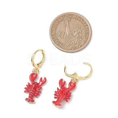 2 Pairs Zinc Alloy Leverback Earrings EJEW-JE06911-1
