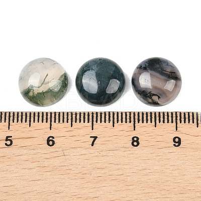 Natural Moss Agate Cabochons G-D367-01A-02-1