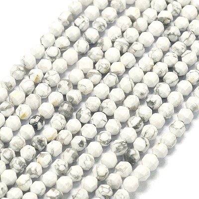 Natural Howlite Beads Strands G-A260-A25-01-1