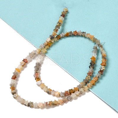 Natural Crazy Lace Agate Beads Strands G-G085-B39-01-1