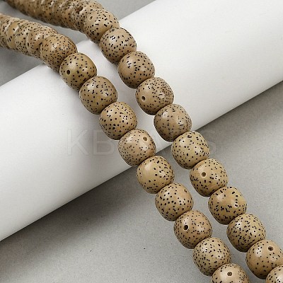 Natural Rudraksha Bodhi Seed Beads Strand WOOD-B010-A03-9x10mm-1