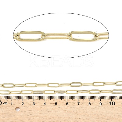 304 Stainless Steel Paperclip Chains CHS-P025-01G-1